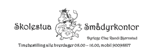  Logo
